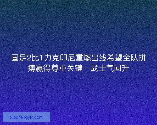 国足2比1力克印尼重燃出线希望全队拼搏赢得尊重关键一战士气回升
